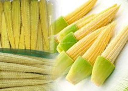 Baby corn