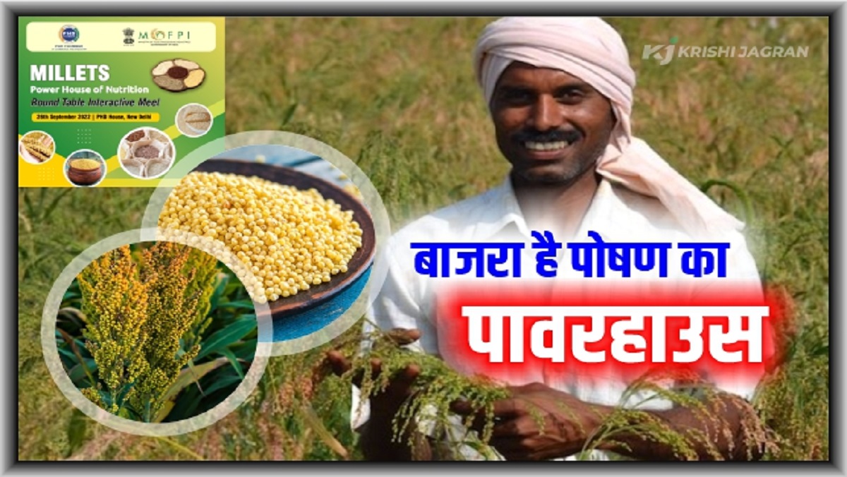 Interactive Meet On Millets: बाजरा है पोषण का पावरहाउस, लेकिन इसको लेकर ...