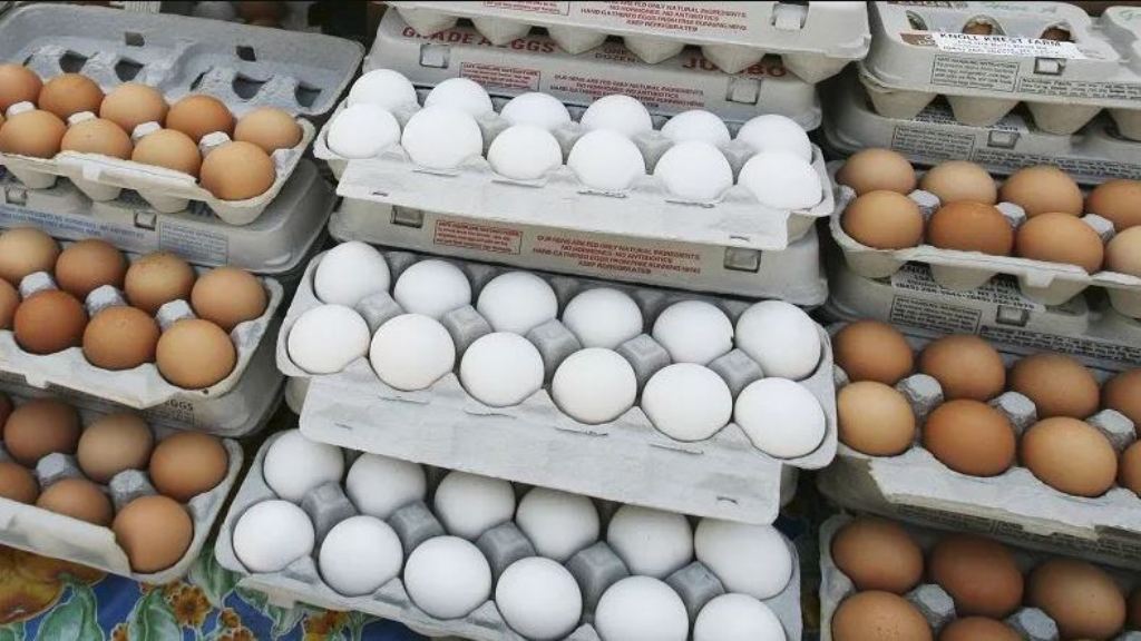 now the prices of eggs, milk and meat will touch the sky