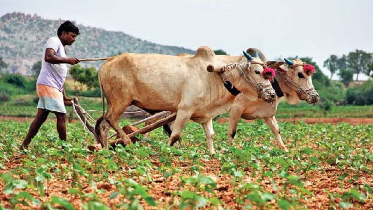 pm kisan 12th installment