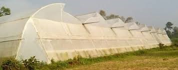 polyhouse