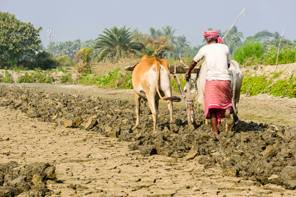 Madhya Pradesh ranks first in the country in the use of agricultural infrastructure funds