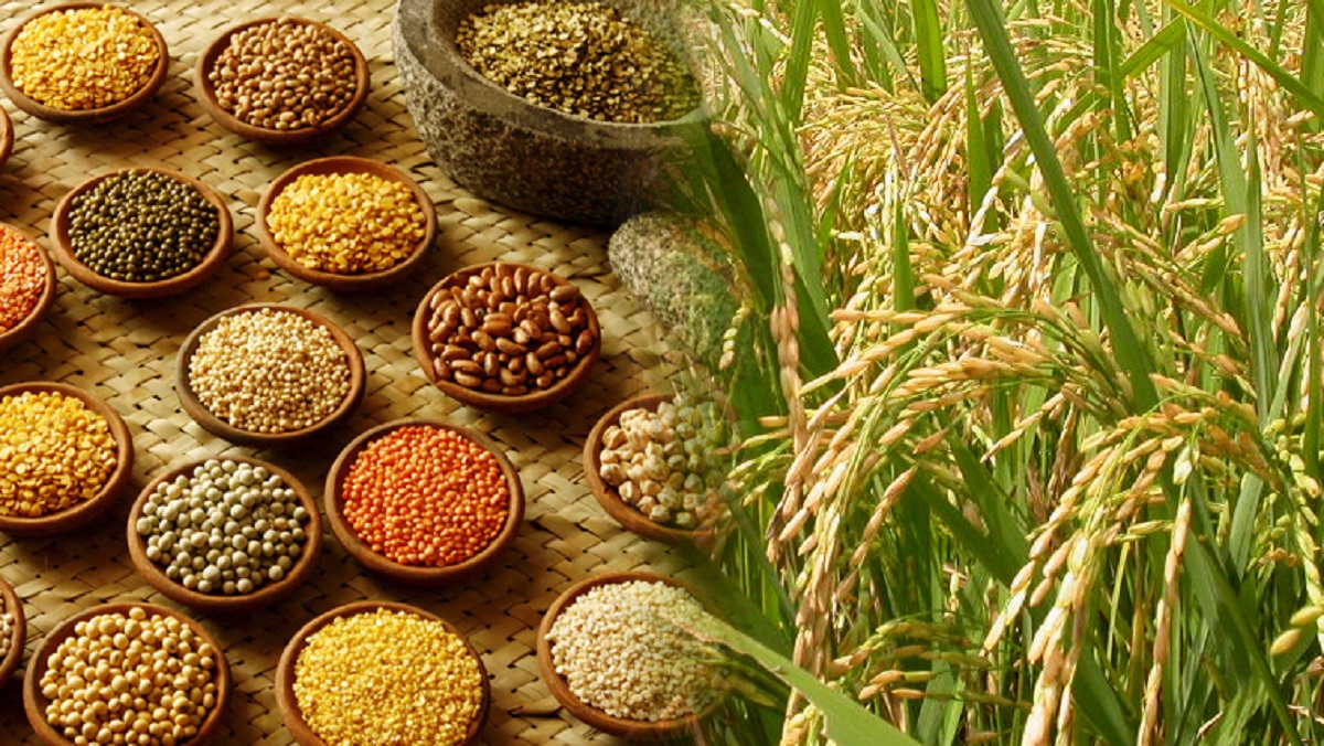 Know the latest rates of wheat, paddy, soybean, guar, gram, maize, spices, oilseeds-pulses and vegetables