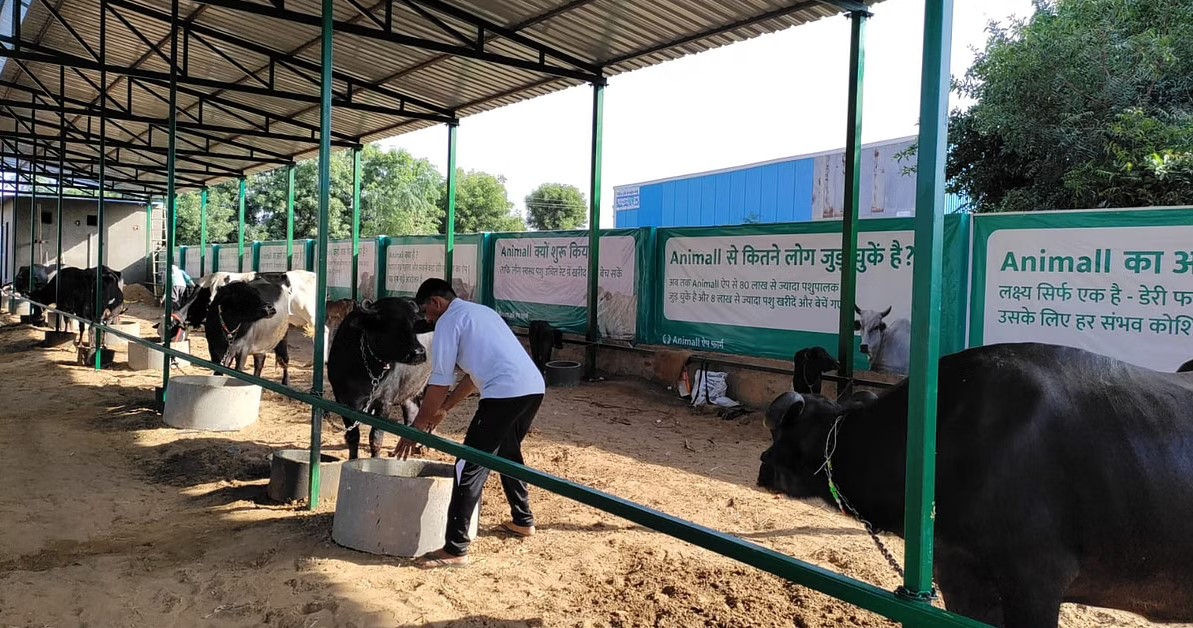 गाय, भैंस व बकरी खरीदने- बेचने वाला ऐप, मात्र एक क्लिक से होगा सारा काम