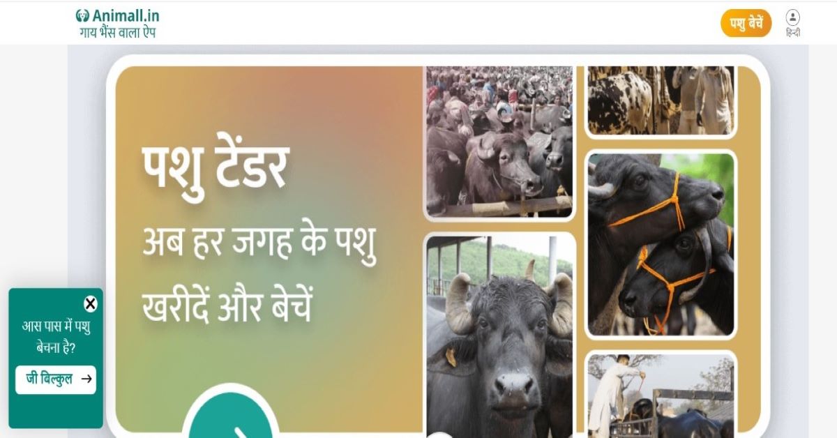 गाय, भैंस व बकरी खरीदने- बेचने के लिए Animall.in ऐप
