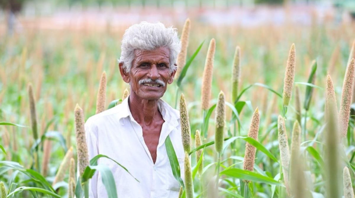 मिलेट्स निर्यात में तेज़ी आएगी!