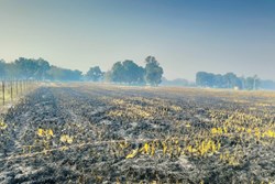 Stubble Management: The Biggest Challenge of the Modern Age