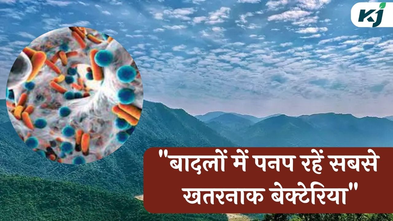 the most dangerous bacteria are growing in the clouds