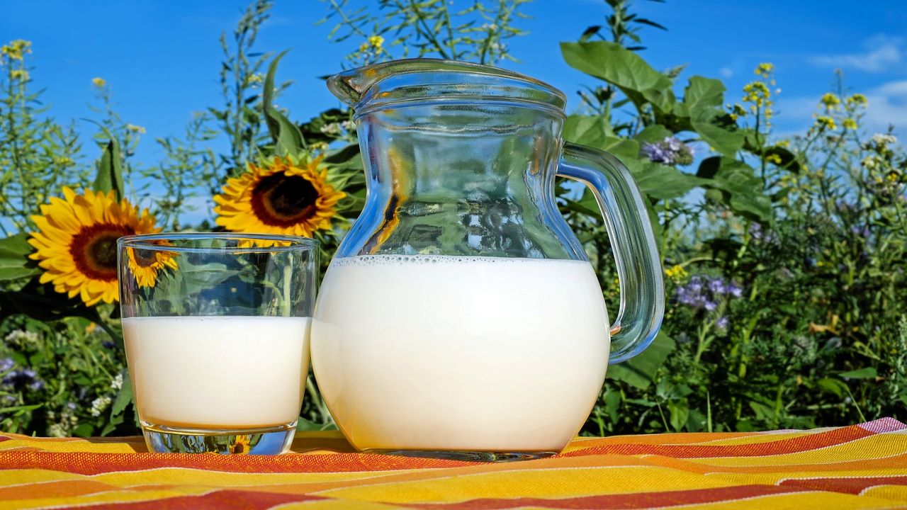 दूध से बने उत्पाद