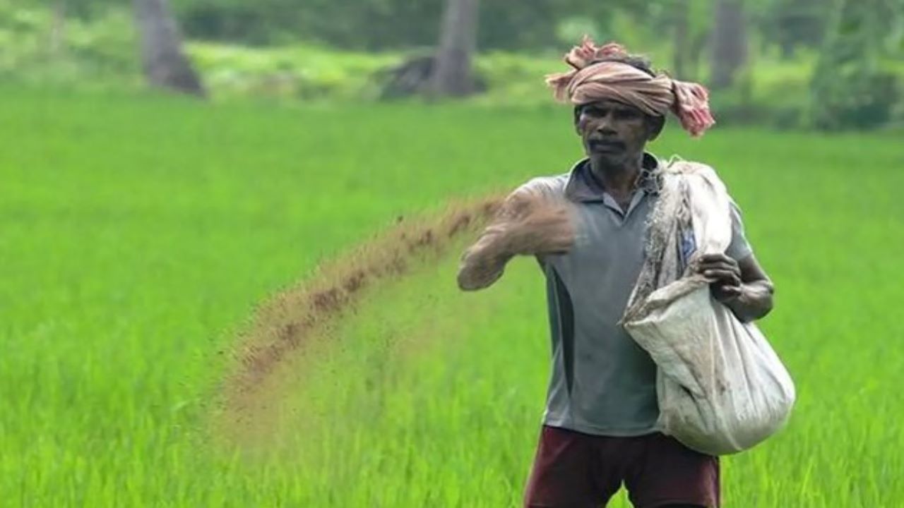 अनाज मंडी में किसानों को कम कीमत में मिलेगा खाना