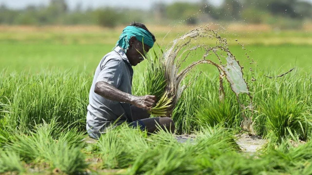 Rs 3.70 lakh crore special package announced for farmers