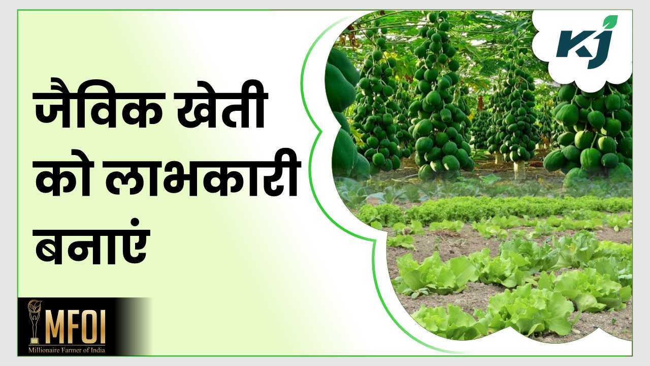 जैविक खेती को बेहतर बनाने का जानें यह तरीके - How To Make Organic ...