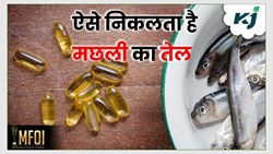 Fish Oil Benefits in hindi human body skin body bones Cardiovascular system fish tissues
