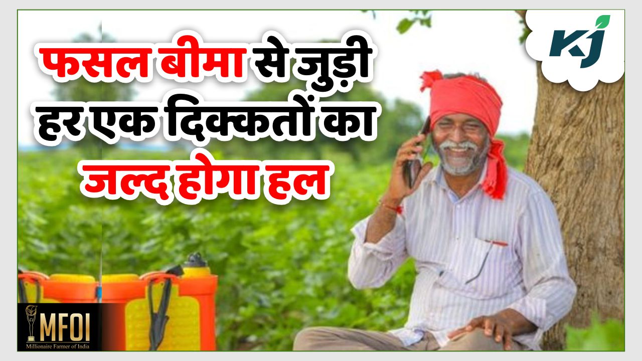 PMFBY: फसल बीमा से जुड़ी किसी समस्या से हैं परेशान? इस टोल फ्री नंबर पर PMFBY: फसल बीमा से जुड़ी किसी समस्या से हैं परेशान? इस टोल फ्री नंबर पर