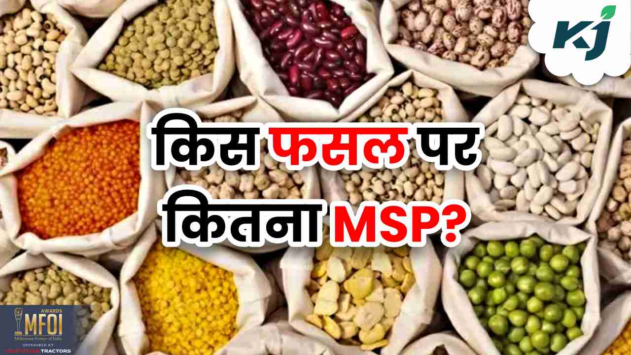 MSP 2024: किस फसल पर कितना एमएसपी दे रही है सरकार, यहां चेक करें सभी ...