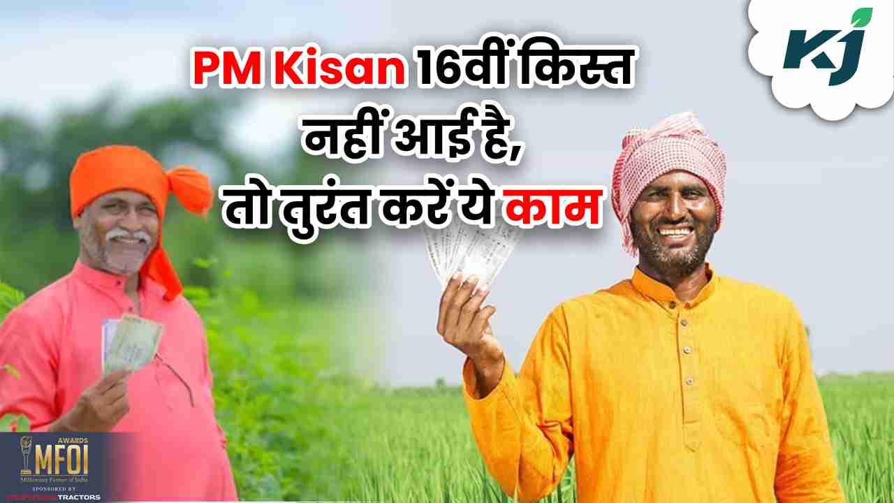 PM Kisan की 16वीं किस्त जारी, अगर खाते में नहीं आई राशि, तो तुरंत करें ...