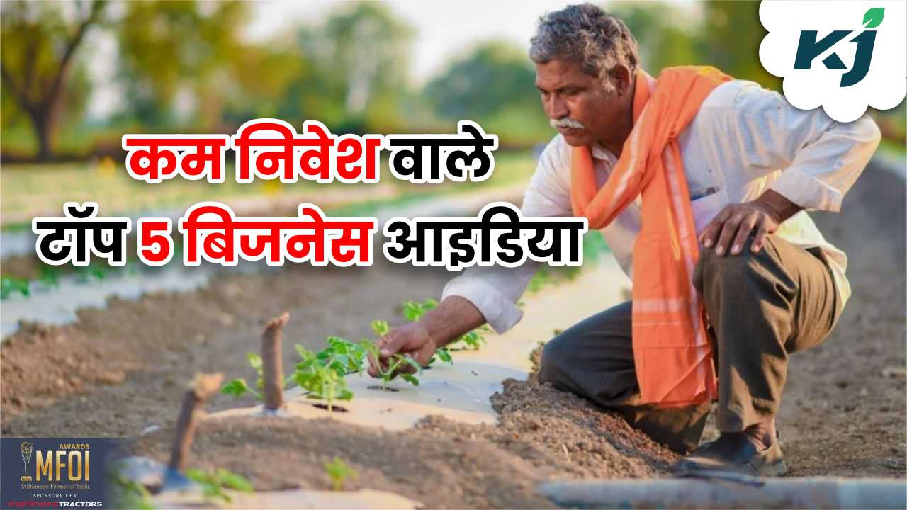 Top Agriculture Business Ideas: कृषि क्षेत्र के कम निवेश वाले टॉप 5 ...