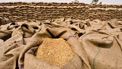 Wheat stock in central buffer stock reaches lowest level in 16 years