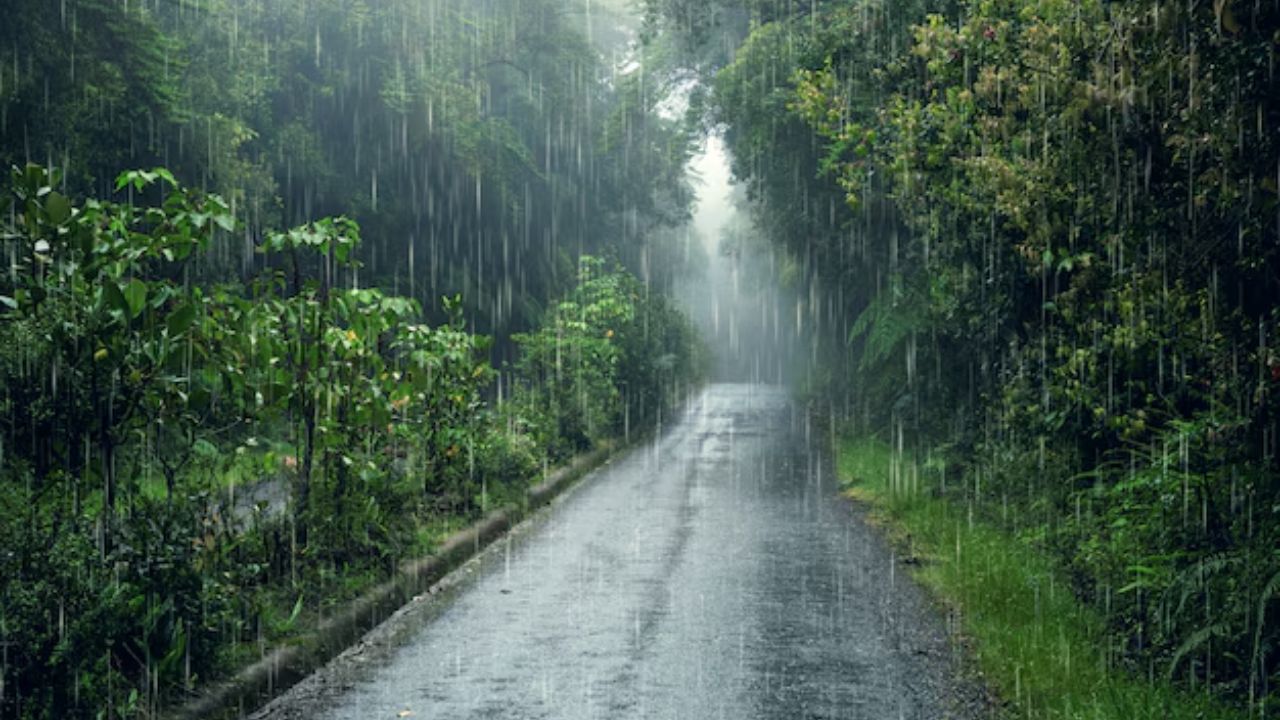 Monsoon तेजी से बढ़ रहा आगे, IMD ने जारी किया कई राज्यों में भारी बारिश का अलर्ट