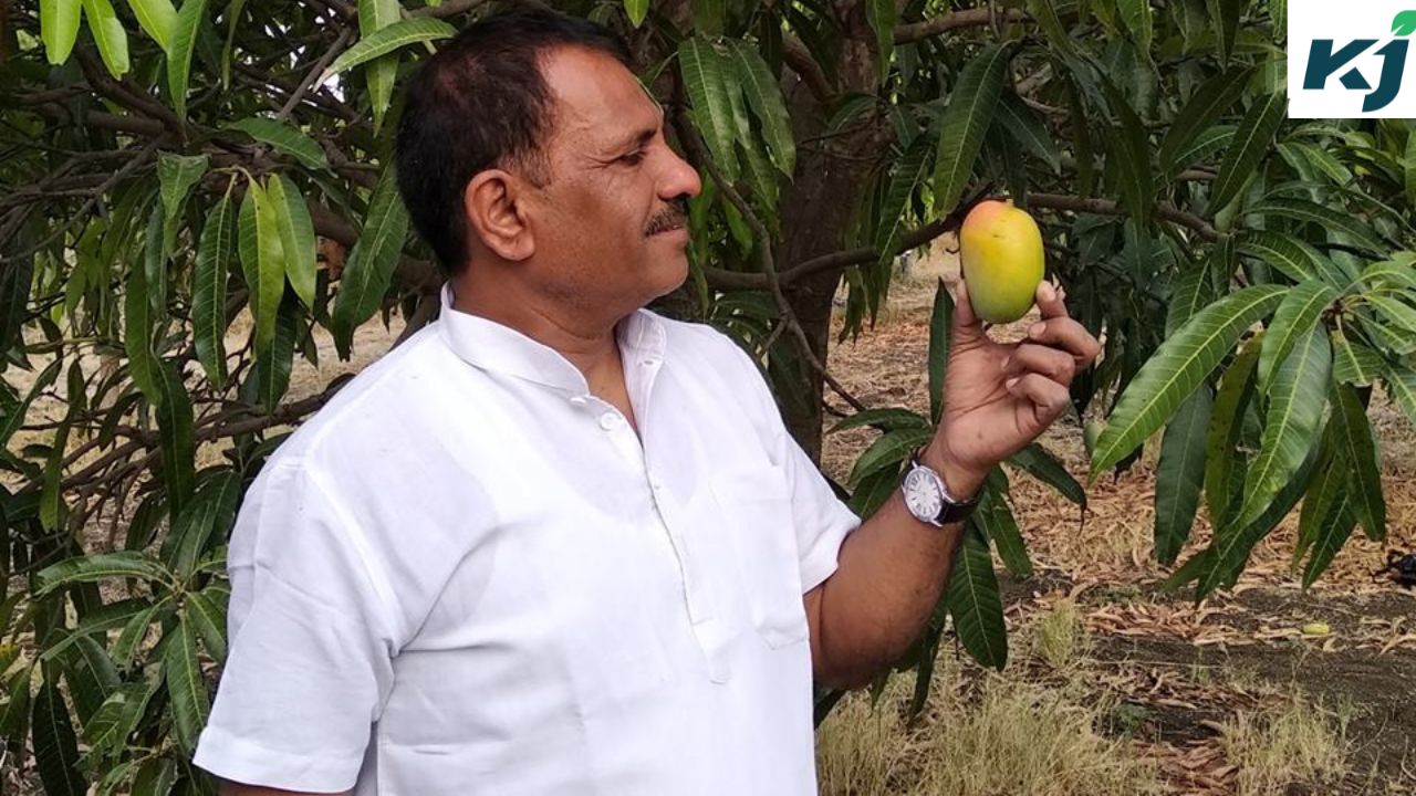 ‘एक लक्ष्य आम वृक्ष’ के अंतर्गत आर्ट ऑफ लिविंग लातूर में लगा रहा है 1 लाख आम के पेड़