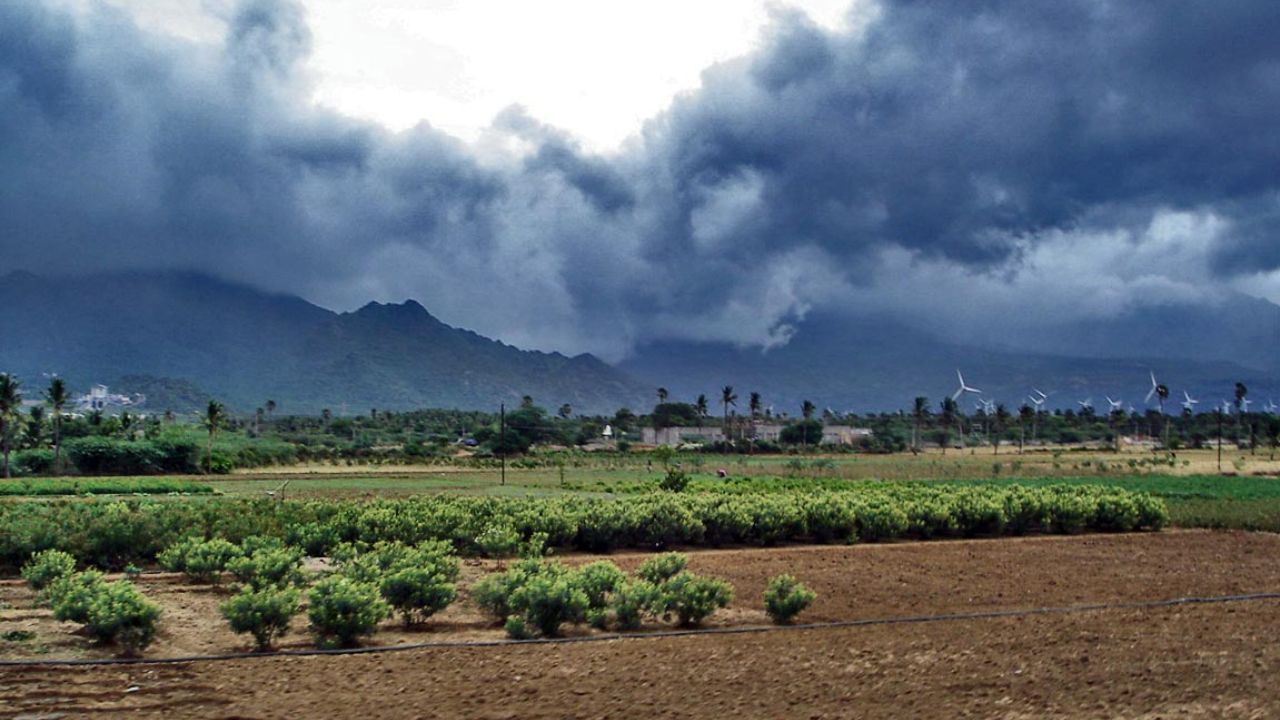 Weather Update: मानसून ने फिर पकड़ी रफ्तार, अगले 24 घंटे के दौरान इन राज्यों में होगी बारिश, पढ़ें IMD की पूरी रिपोर्ट