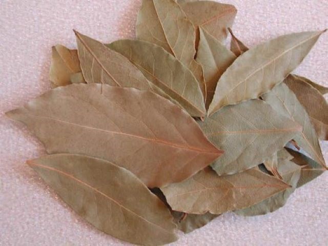 tejpata