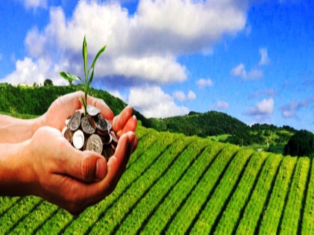 agriculture