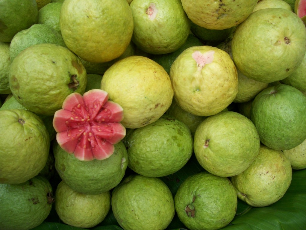 pink amrund