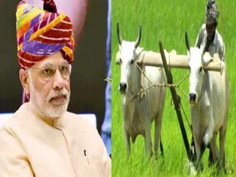 kisan