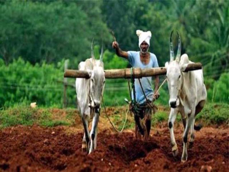 kisan