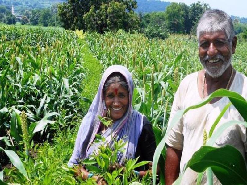 kisaan